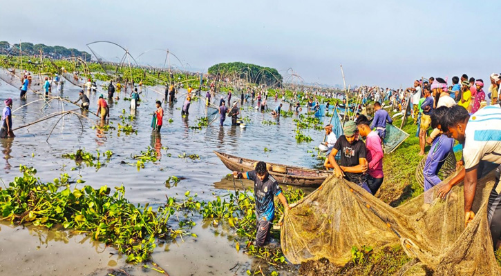 ভাঙ্গুড়ার রুহুল বিলে শুরু হয়েছে দলবেঁধে মাছ ধরার বাউত উৎসব
