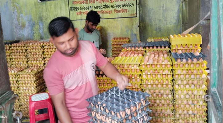 কোটচাঁদপুরে সরকার নির্ধারিত মূল্যের চেয়ে বেশি দামে ডিম বিক্রির অভিযোগ