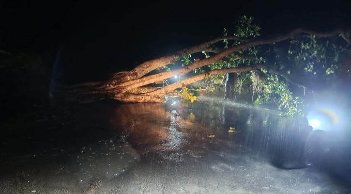 চুয়াডাঙ্গায় কালবৈশাখীর আঘাত, তিনতলা থেকে পড়ে বৃদ্ধের মৃত্যু