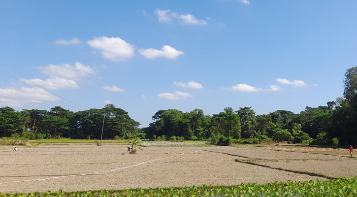 বোয়ালখালীতে  সরিষার জন্য জমি প্রস্তুত করছেন কৃষকেরা