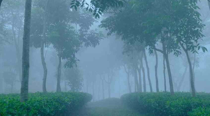আজ দেশের সর্বনিম্ন তাপমাত্রা শ্রীমঙ্গলে
