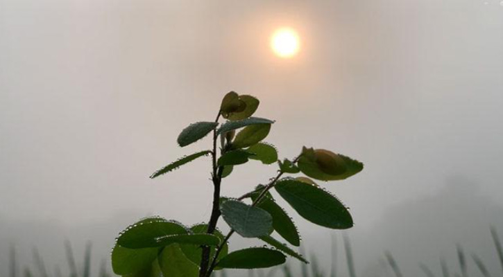 রাজশাহীতে শীতের আগমনী বার্তা