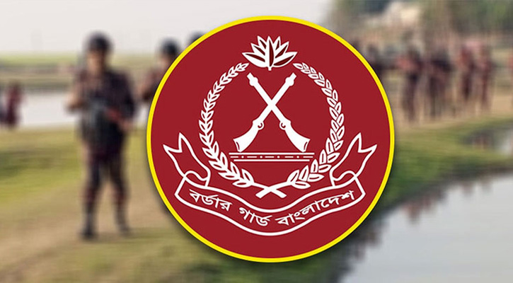 সীমান্তে বিএসএফের গুলির জবাবে বিজিবির পাল্টা ফায়ার