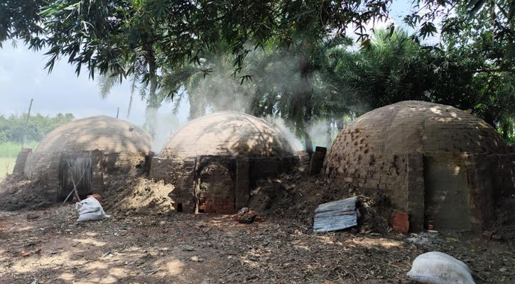 জীবননগরে পরিবেশ অধিদপ্তরের অনুমোদন ছাড়াই গাছ পুড়িয়ে তৈরি হচ্ছে কয়লা