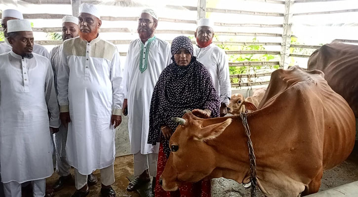 মাগুরার  সেই আলোচিত আছিয়ার পরিবারের দায়িত্ব নিল জামায়াতে ইসলামী