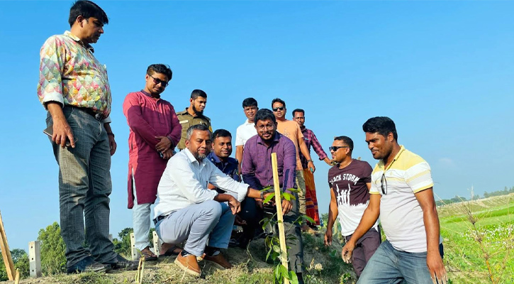 মাদারগঞ্জ হাওয়াই রোডে বৃক্ষরোপণ কর্মসূচি অনুষ্ঠিত