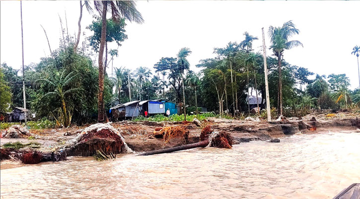 ভোলার রাজাপুরের শেষ স্মৃতিটুকুও নদীগর্ভে বিলীন হওয়ার পথে