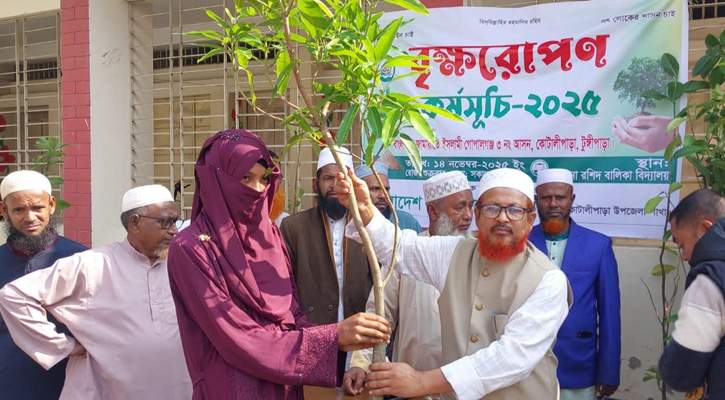 কোটালীপাড়ায় জামায়াতে ইসলামী’র উদ্যোগে গাছের চারা বিতরণ