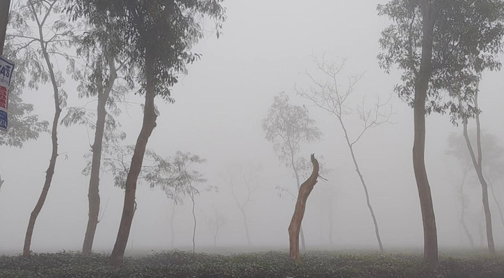 শীতে কাঁপছে চায়ের জনপদ, তাপমাত্রা নামল ১১ ডিগ্রিতে