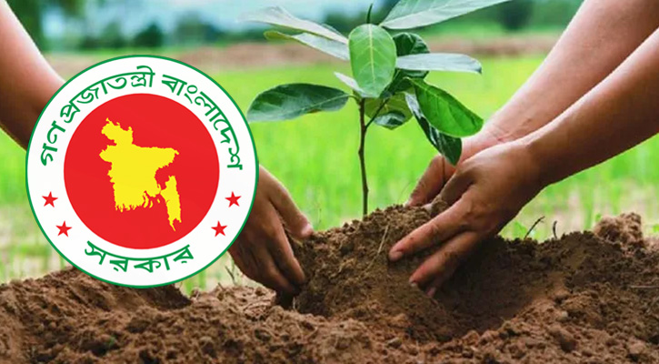 পরিবেশ রক্ষায় ২৫ কোটি গাছ লাগাবে সরকার