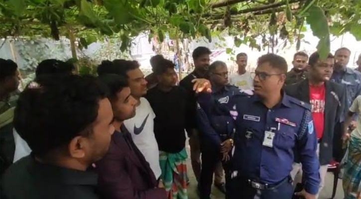 সিংগাইরে গরু চুরি করতে গিয়ে গণপিটুনিতে দুই চোর নিহত