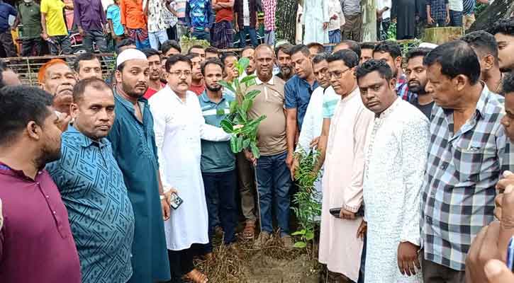 মাগুরার শ্রীপুরে কৃষকদলের উদ্যোগে বৃক্ষরোপণ কর্মসূচি