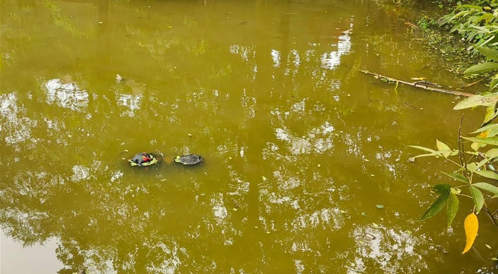 মুরাদনগরে পুকুর থেকে বৃদ্ধার লাশ উদ্ধার