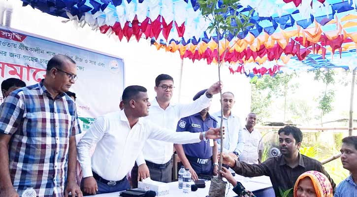 পীরগঞ্জে কৃষকদের মাঝে বীজ, সার ও গাছের চারা বিতরণ