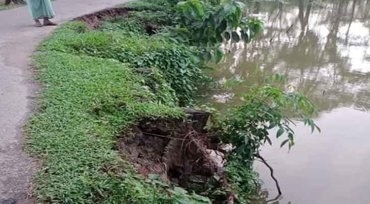 বোয়ালখালীতে ইমামুল্লার চর সড়ক পুকুরে বিলীন হওয়ার পথে