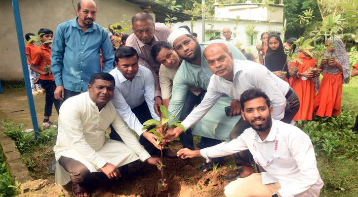 চন্দনাইশ প্রেস ক্লাবের উদ্যোগে বৃক্ষরোপণ ও চারা বিতরণ কর্মসূচি
