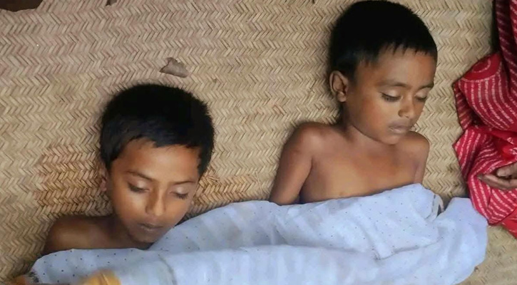 ফরিদগঞ্জে গোসল করতে নেমে দুই ভাইয়ের মৃত্যু