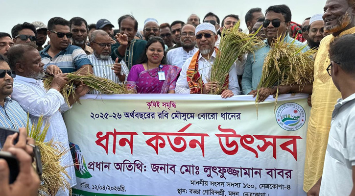 মদনে বোরো ধান কাটা উদ্বোধন করলেন লুৎফুজ্জামান বাবর