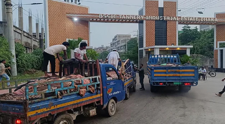 সাভার ট্যানারিতে ঢুকেছে ২ লাখের বেশি কাঁচা চামড়া