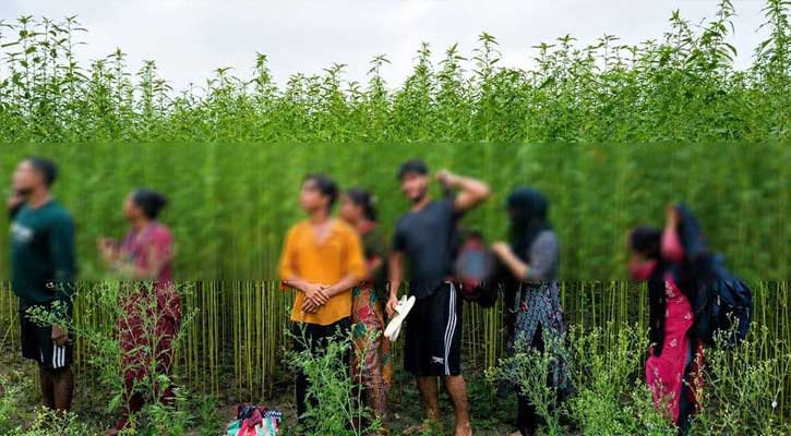 কুষ্টিয়া সীমান্তে ৮ জনকে পুশইন চেষ্টা রুখে দিলো বিজিবি