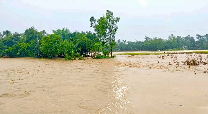 বাঁধ ভেঙে ২০ গ্রাম প্লাবিত, দুশ্চিন্তায় কৃষকেরা