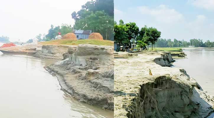 কুড়িগ্রামে পাঁচ নদীর ৩৬ পয়েন্টে ভাঙন, ভিটেবাড়ি ছাড়া ৫ শতাধিক পরিবার