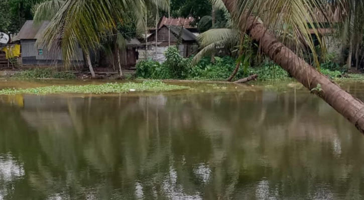 বন্যায় মদন পৌরসভায় শিং মাছের ফিশারিতে ব্যাপক ক্ষয়ক্ষতি