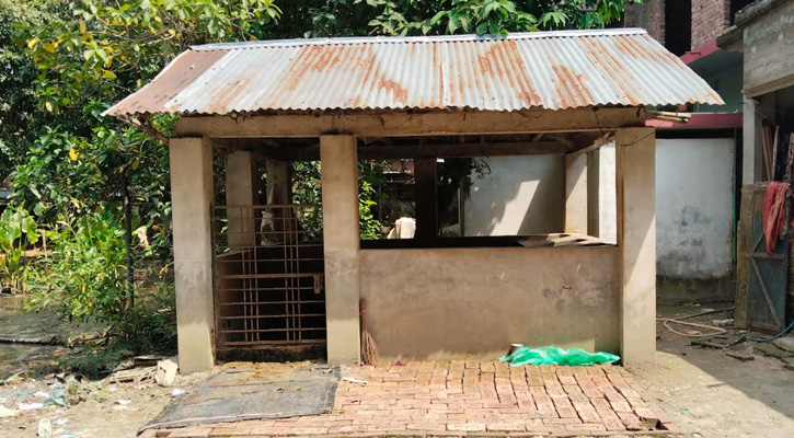 কোটচাঁদপুরে ১৩ মিনিটে এক চাষির ৩ গরু চুরি