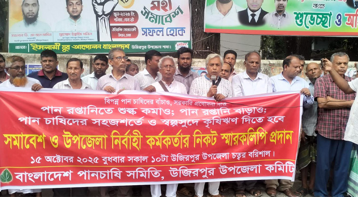 উজিরপুরে পান চাষিদের ১১ দফা দাবিতে মানববন্ধন ও স্মারকলিপি প্রদান