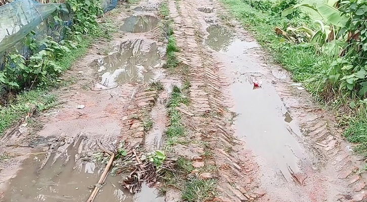 ডাসারে ৫টি ইউনিয়নের গ্রামীণ সড়কের বেহাল দশা, চরম জনদুর্ভোগ