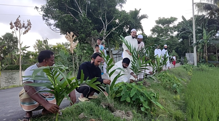 কিশোরগঞ্জে পরিবেশের ভারসাম্য রক্ষায় যুবকদের বৃক্ষরোপণ কর্মসূচি