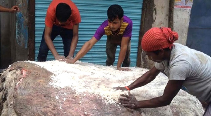রাজশাহীতে চামড়া সংরক্ষণে বিনামূল্যে বিতরণ হচ্ছে ২৬৩ মেট্রিক টন লবণ