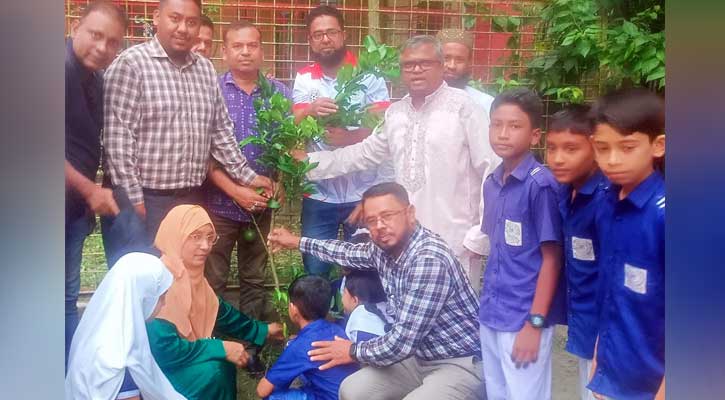 কাউখালীতে প্রধানমন্ত্রীর বৃক্ষরোপণ কর্মসূচি ও প্রাথমিক শিক্ষা পদক-২০২৬ উপলক্ষে আলোচনা সভা