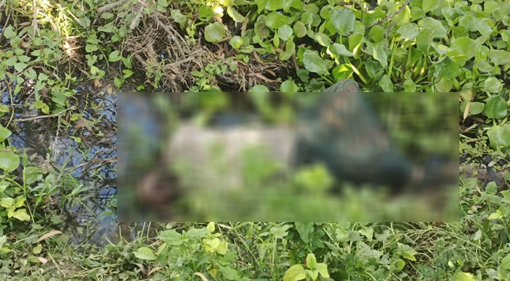 পত্নীতলায় অজ্ঞাত ব্যক্তির মরদেহ উদ্ধার