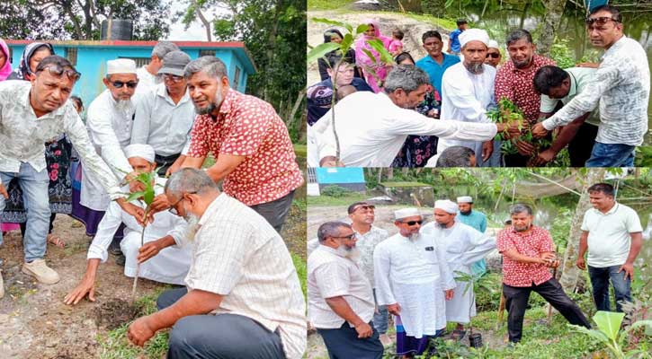 মাদারীপুরে টুবিয়া সরকারি প্রাথমিক বিদ্যালয়ে বৃক্ষরোপণ কর্মসূচি পালন