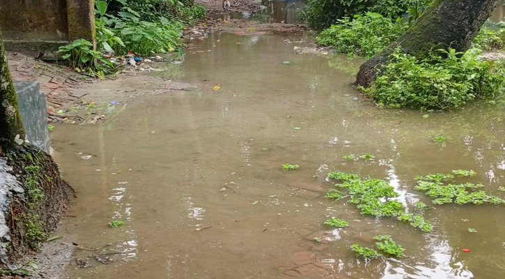 ফরিদগঞ্জ পৌরসভার ৭ নং ওয়ার্ডে সড়কের বেহাল দশা, সামান্য বৃষ্টিতেই জলাবদ্ধতা