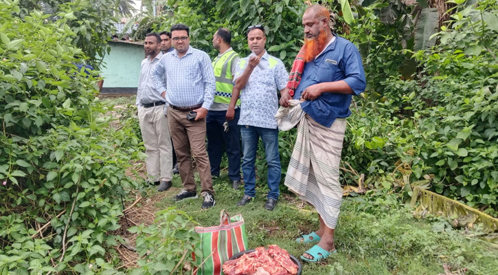 কোটচাঁদপুরে গর্ভবতী গরু জবাই করে মাংস বিক্রি, জরিমানা