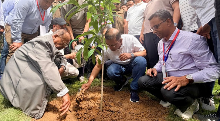 দেশব্যাপী ২৫ কোটি বৃক্ষরোপণ কর্মসূচির উদ্বোধন করলেন প্রধানমন্ত্রী