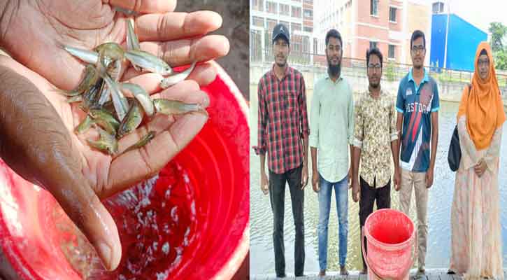 পাবিপ্রবির লেকে আগামীর সূর্যের মাছের পোনা অবমুক্তকরণ কর্মসূচি