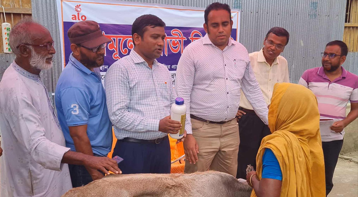 কুষ্টিয়ায় বিনামূল্যে গাভী বিতরণ