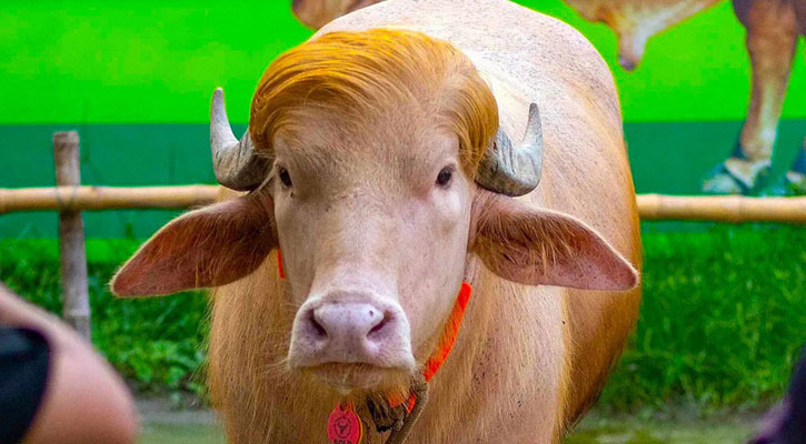 চিড়িয়াখানায় ‘ডোনাল্ড ট্রাম্প’ দেখতে দর্শনার্থীদের ভিড়