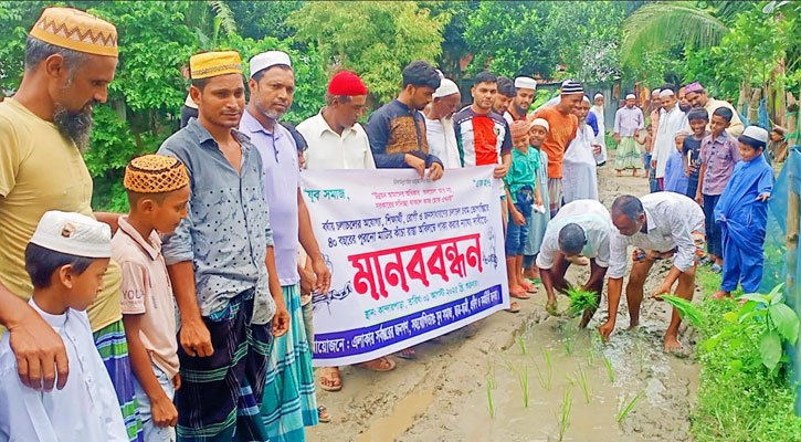 রাস্তা সংস্কার না হওয়ায় ধানের চারা রোপণ করে অভিনব প্রতিবাদ
