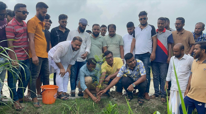 ধামরাইয়ে স্বেচ্ছাসেবক দলের মাসব্যাপী বৃক্ষরোপণ কর্মসূচির উদ্বোধন