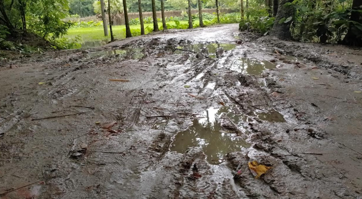 উজিরপুর পৌরসভার গুরুত্বপূর্ণ সড়কের বেহাল দশা, দ্রুত সংস্কারের দাবি