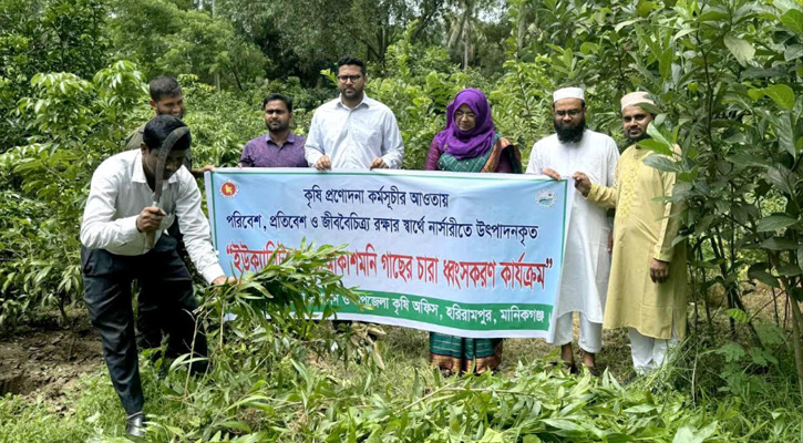 হরিরামপুরে পরিবেশ বিধ্বংসী ইউক্যালিপটাস গাছের চারা ধ্বংস করলেন ইউএনও