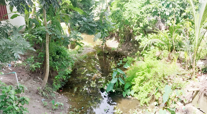 মাদারীপুরে খাল খননের অভাবে হাজারো কৃষকের ভোগান্তি