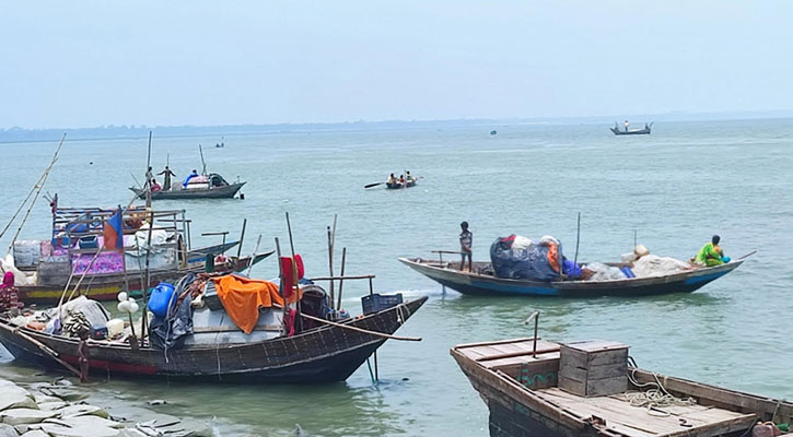 ইলিশ উৎপাদন বাড়াতে পদ্মা-মেঘনায় দুই মাস মাছ ধরা নিষিদ্ধ