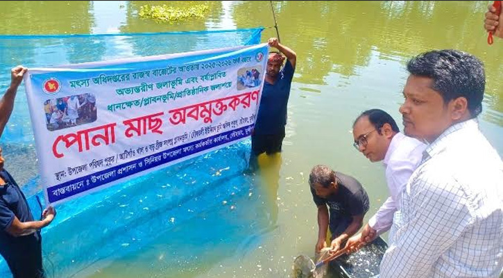 লৌহজংয়ে বিভিন্ন জলাশয়ে ৩৭০ কেজি মাছের পোনা অবমুক্ত