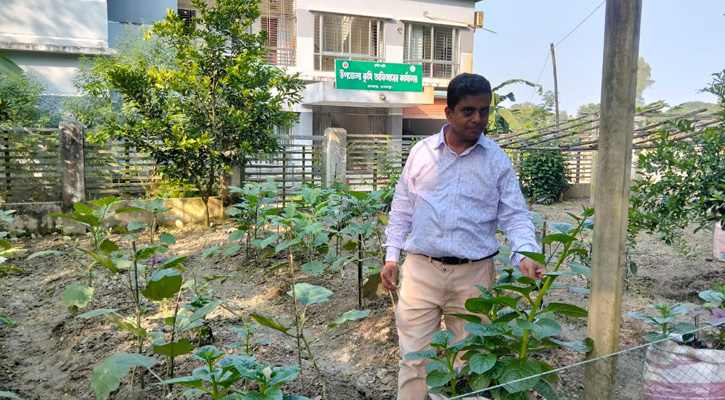 মাদারগঞ্জে কৃষি কর্মকর্তার উদ্যোগ: পতিত জমিতে বিষমুক্ত সবজির বাগান