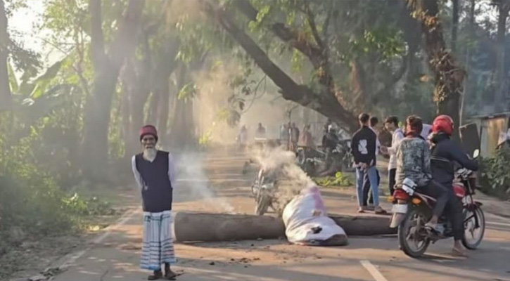 মাদারীপুরে রাস্তায় গাছ ফেলে অবরোধ, চার ঘণ্টা যান চলাচল বন্ধ